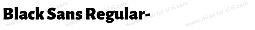 Black Sans Regular字体转换